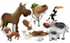 Bucky   Veterinary Medicine225
