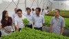 Inauguration of a hi-tech hydroponic vegetable farm