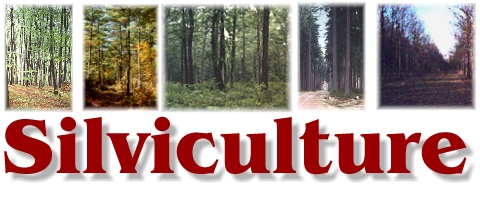 MASTER OF APPLIED SCIENCE IN SILVICULTURE CURRICULUM
