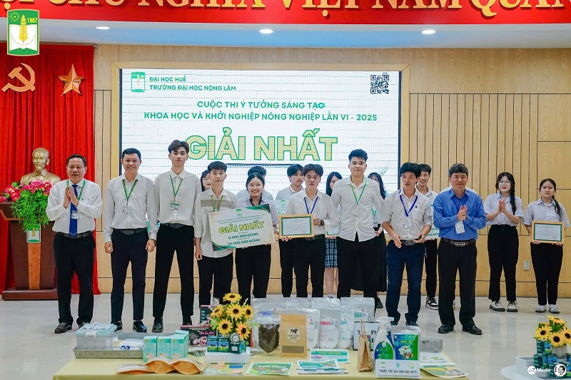 DANG TRAO GIAI NHAT