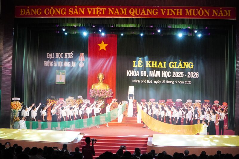 DANG VAN NGHE 3